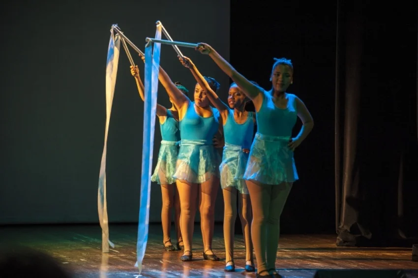 Usurios da SORRI-BAURU se apresentam na 24 Mostra de Arte Sem Barreiras