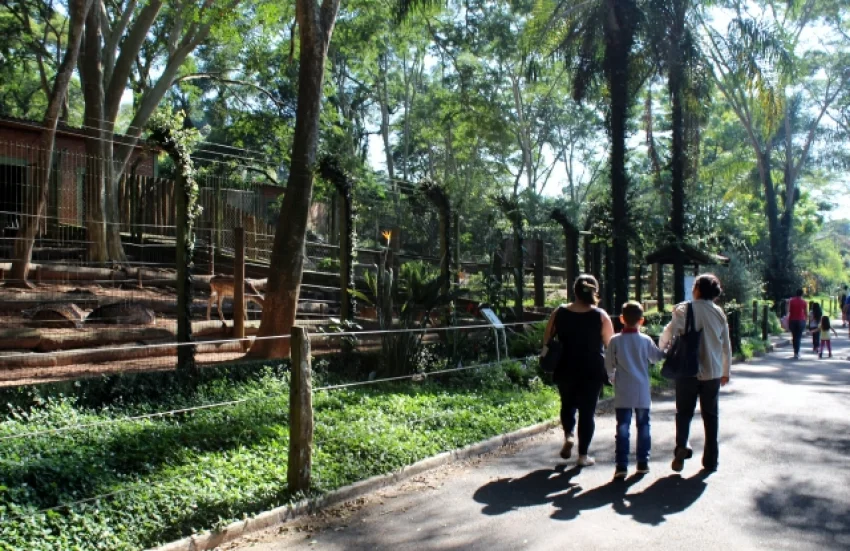 Dia do autismo: SORRI come�a abril com semana especial