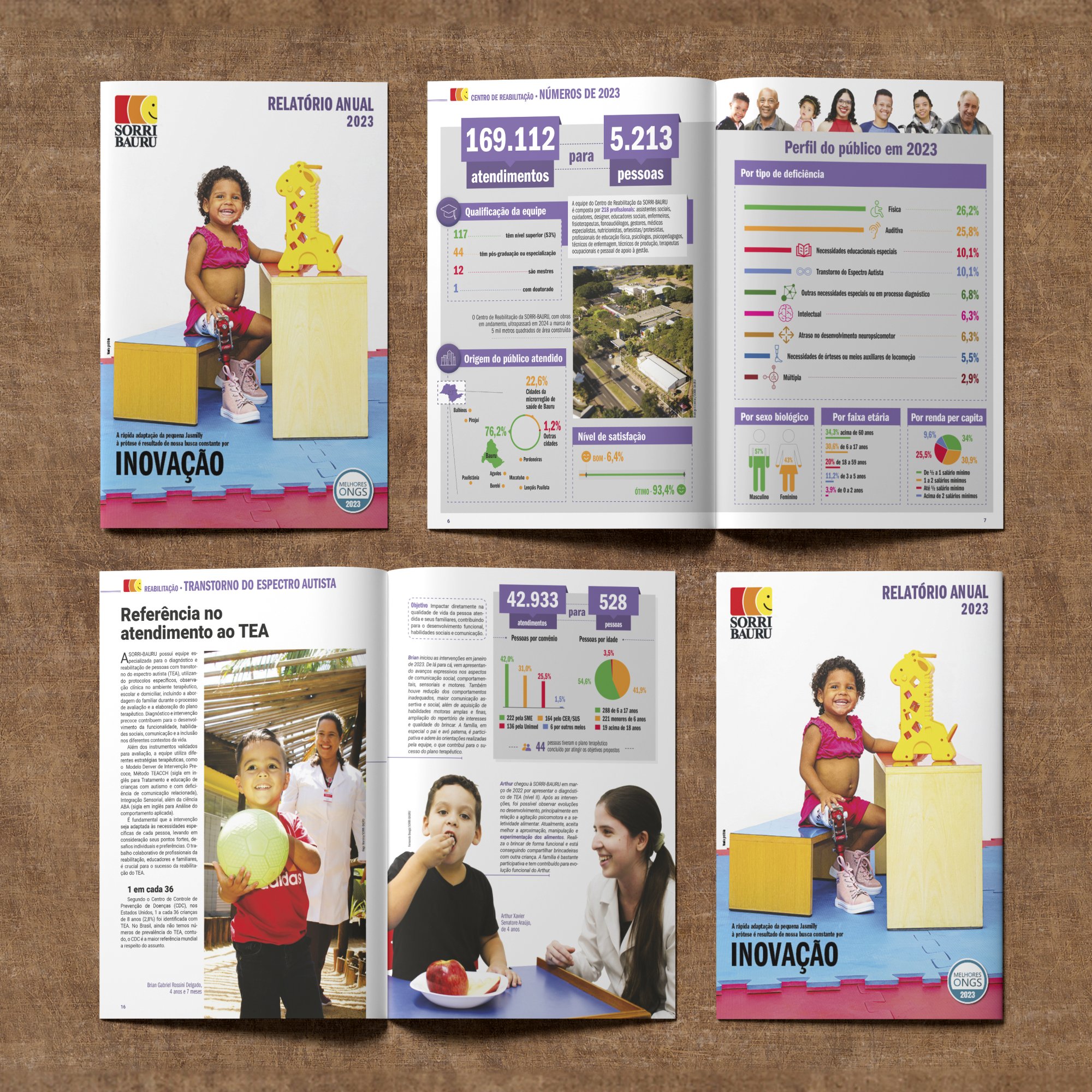 SORRI-BAURU lana nova edio de seu Relatrio Anual